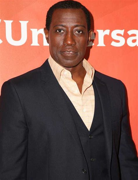 wesley snipes net worth|wesley snipes net worth 2020.